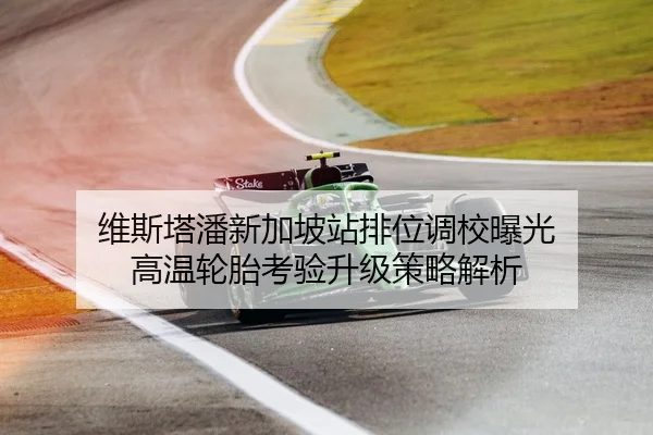 维斯塔潘新加坡站排位调校曝光 高温轮胎考验升级策略解析